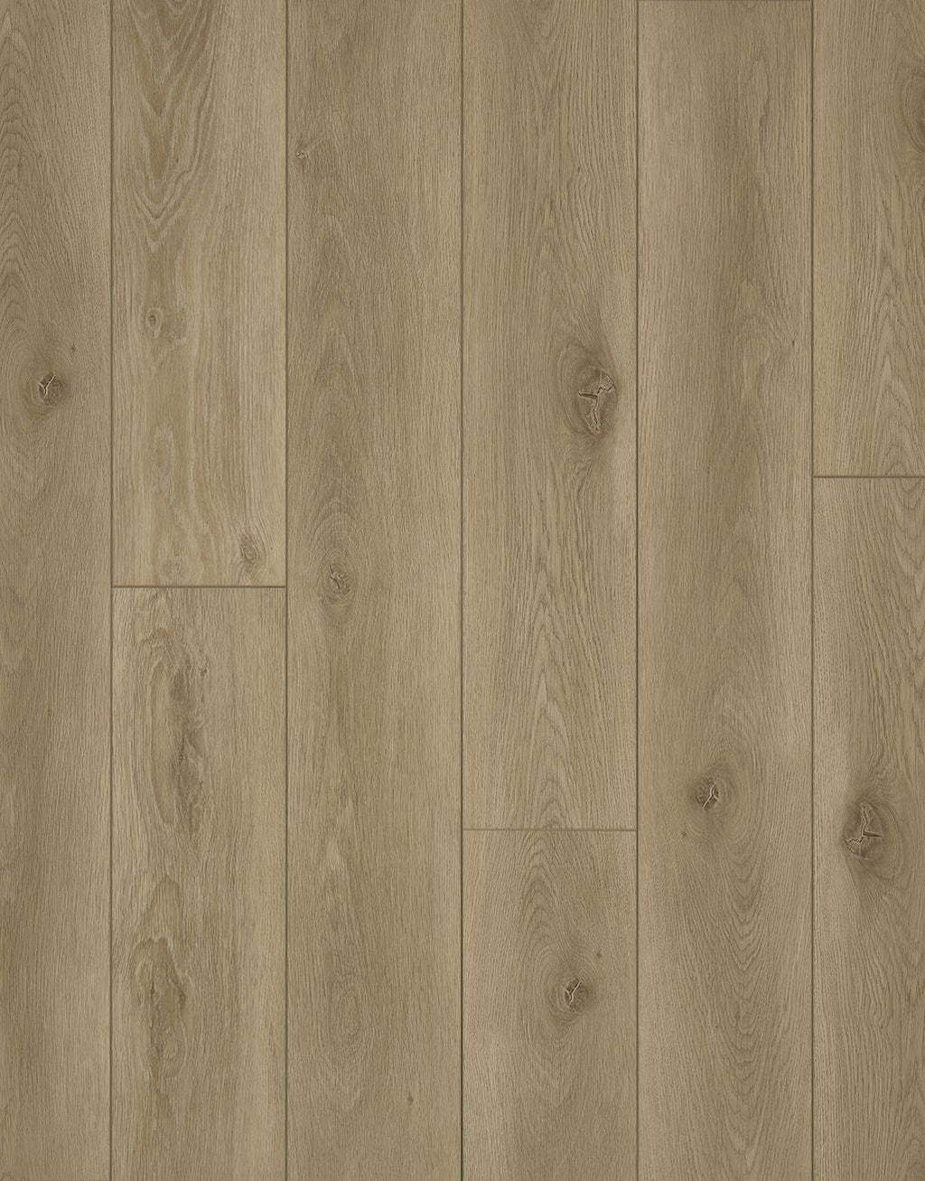 EvoCore Premium Sahara Oak Flooring (1.31m2 per pack)
